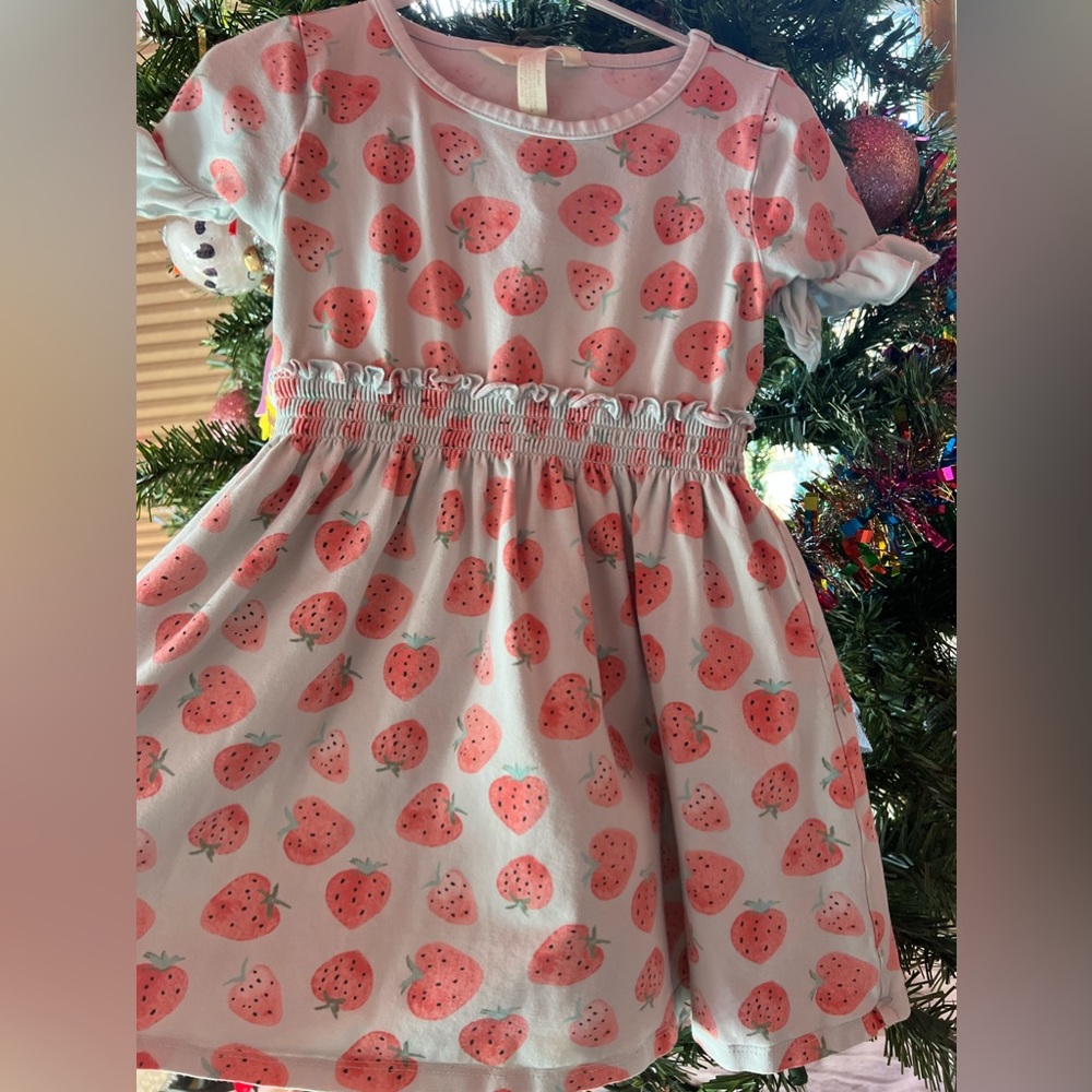 Matilda Jane Strawberry Dress